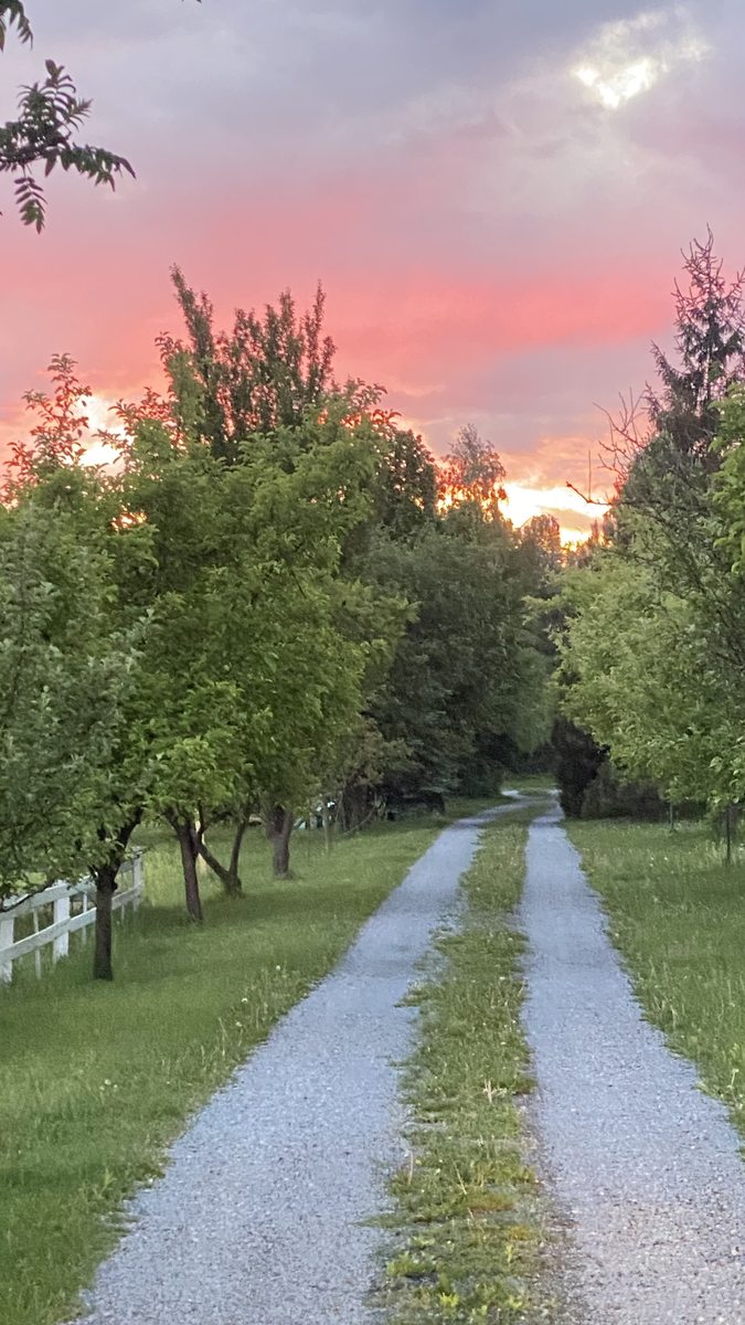Apus de soare pe aleea Casa Romantic